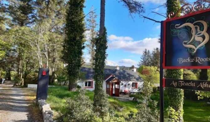 Beautifully Restored Cottage, Doochary