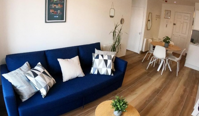 Designer 1 Bedroom Flat with Terrace Dublin 1