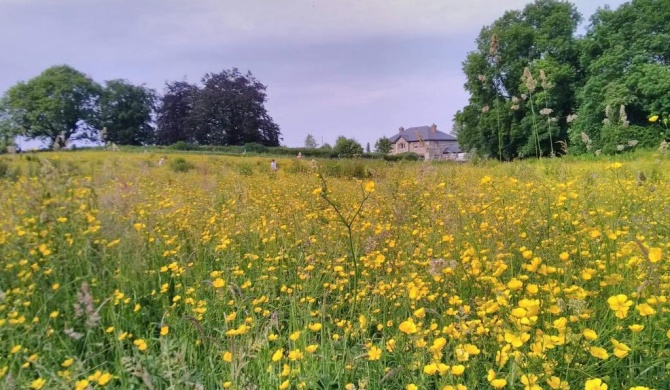 Castletownmoor Clinic & Permaculture Farm