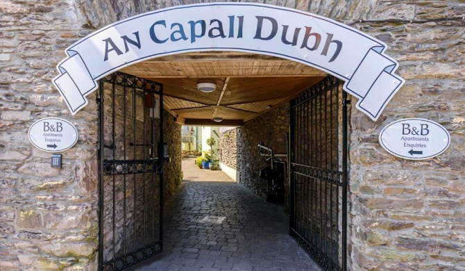 Dingle Centre Townhouse An Capall Dubh Dingle