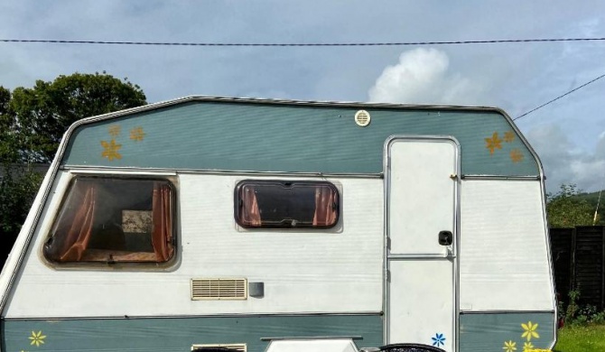 Cosy Caravan at Carrigeen Glamping