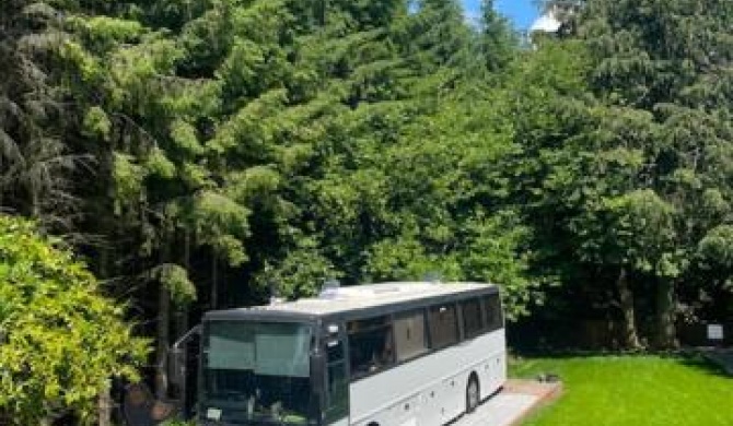 The Blackwater Coach near Lismore & Dungarvan