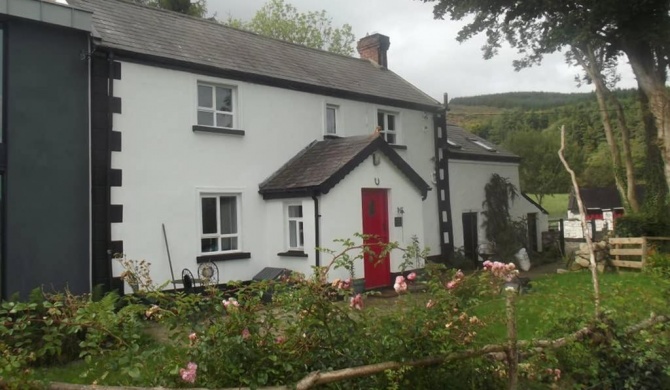 Quarvue Farmhouse, Unique house with views of Mournes and Cooleys