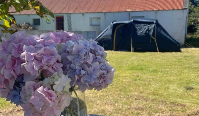 Peaceful Tent Camping near Ballybunion & Listowel